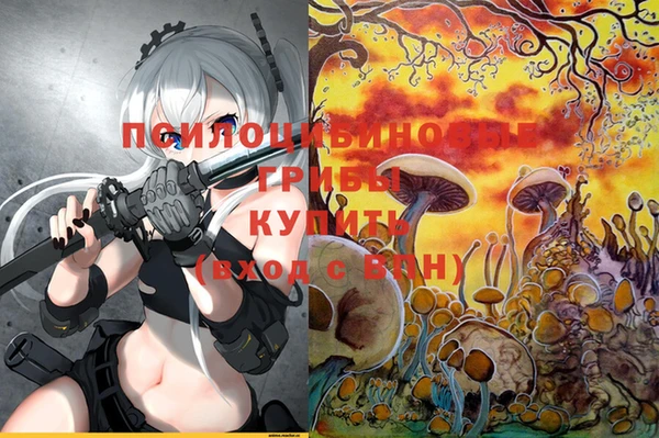 трава Горнозаводск