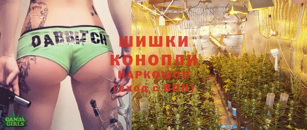 мяу мяу кристалл Гусь-Хрустальный