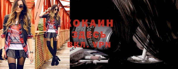 ALPHA-PVP Гусев