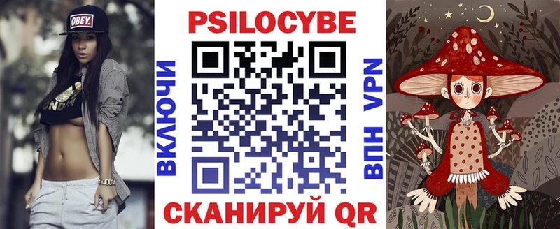 купить закладку  MEGA рабочий сайт  Псилоцибиновые грибы GOLDEN TEACHER  Ленинградская 